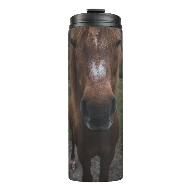 TERMO HOLA SOY UN CABALLO (Anverso)