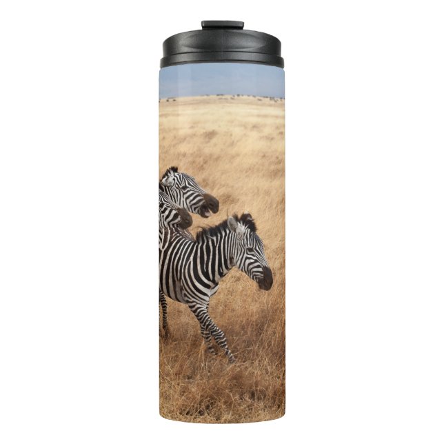 TERMO HORSE RACE (Anverso)