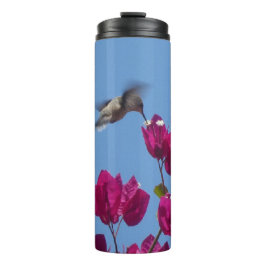 Termo Hummingbird desde Perú Tumbler
