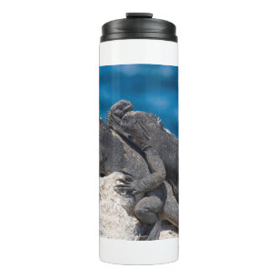 Termo Iguana marina