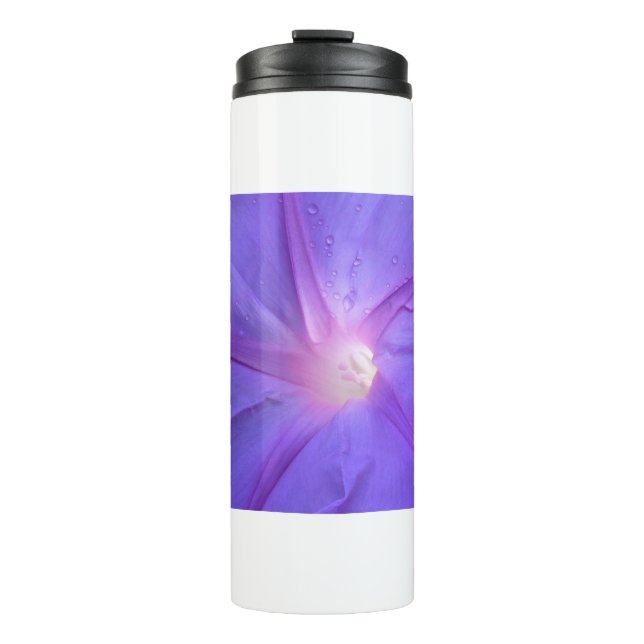 Termo ipomée (Anverso)