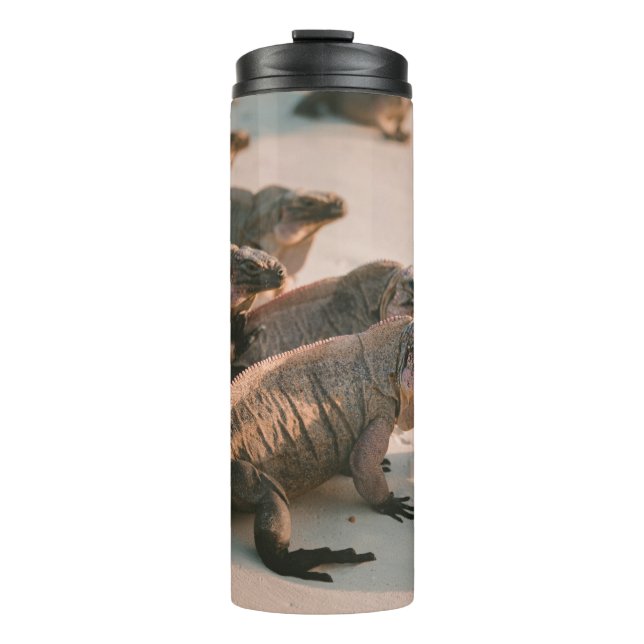 TERMO ISLA IGUANA (Anverso)