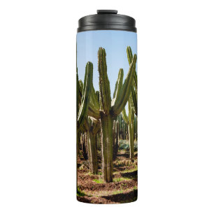 Termo Jardín Cacti. Cactus altos verdes y suculentas cr