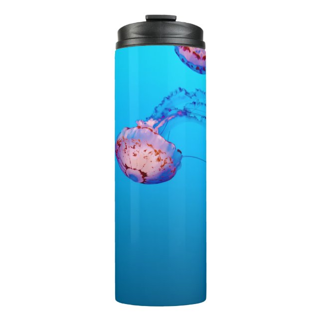 TERMO JELLY FISHES SUPERIOR AL AGUA (Anverso)