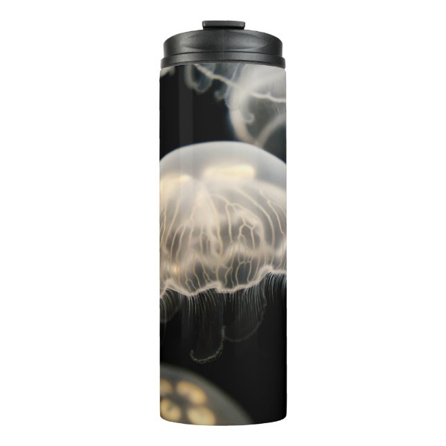 TERMO JELLYFISH BLANCO (Anverso)