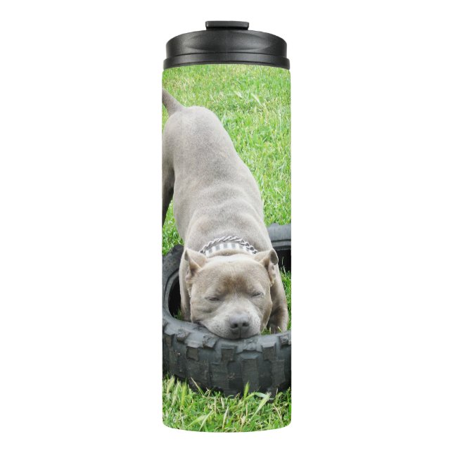 Termo Joven Staffy Macho Jugando Con Su Neumático, (Anverso)