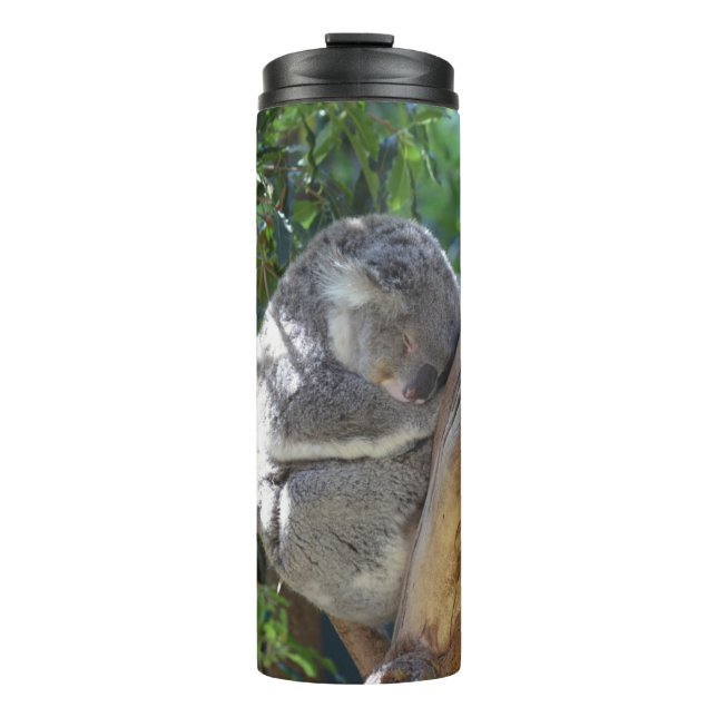 Termo Koala lindo durmiendo en un árbol (Anverso)