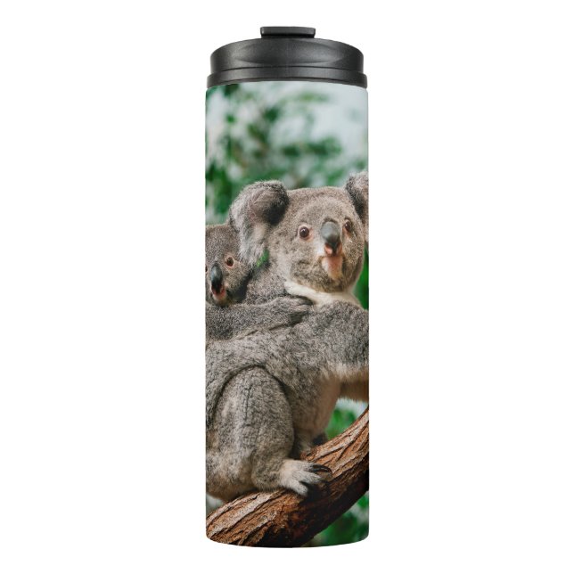 Termo Koala, phascolarctos cinereus, hembra que te lleva (Anverso)