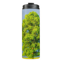 La belleza en la tormenta