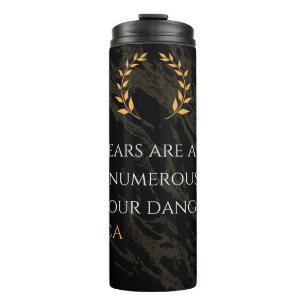 Termo La percepción de Séneca: miedo comparado con pelig