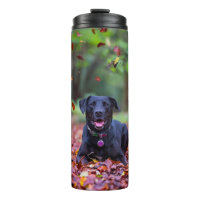 Labrador negro en hojas de otoño