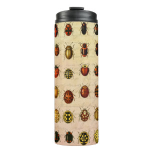Termo Ladybug Ladybird Beetle Insect Bug