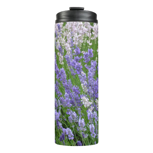 Termo Lavanda púrpura (Anverso)
