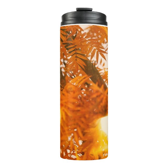 Termo Leaf Boy 11 (Anverso)