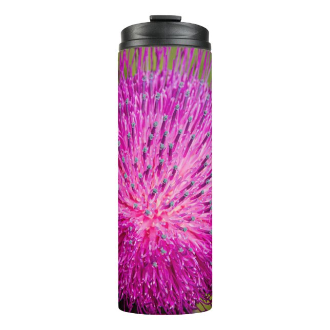 Termo Leche con el cardo cerrado (Anverso)