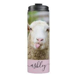 Termo Lengua de presentación de las ovejas