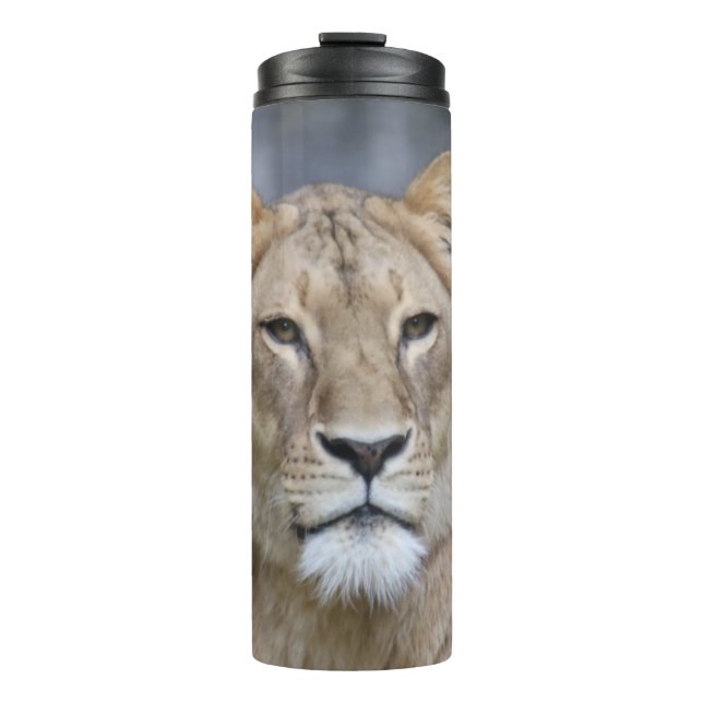 Termo León 004 (Anverso)