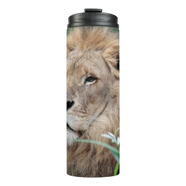 Termo León 021 (Anverso)