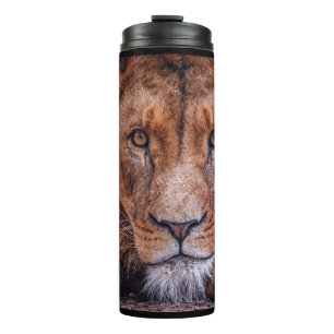 Termo León africano
