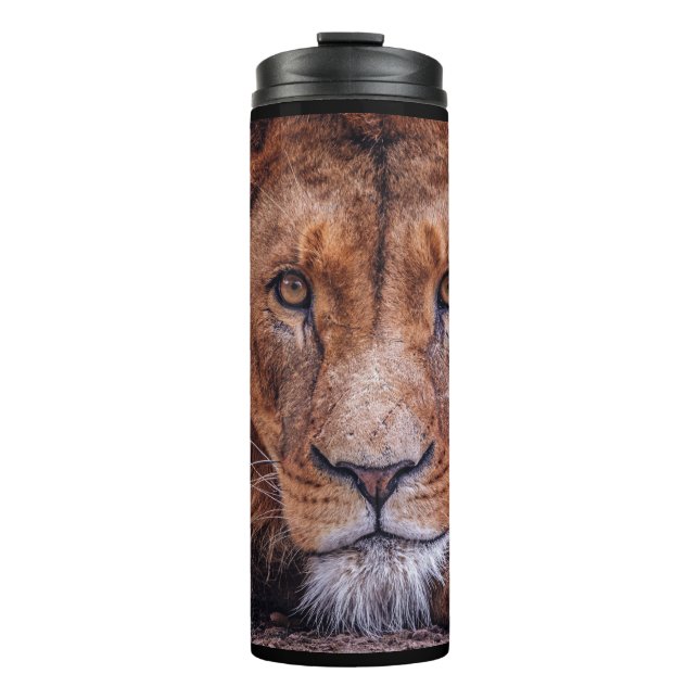 Termo León africano (Anverso)