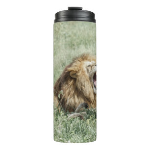 TERMO LEÓN SOBRE LA GRASA VERDE DURANTE EL DÍA