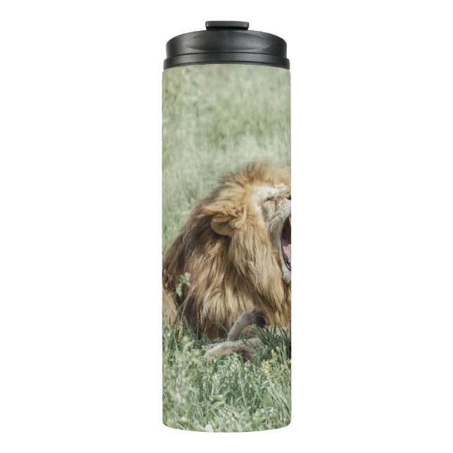 TERMO LEÓN SOBRE LA GRASA VERDE DURANTE EL DÍA (Anverso)