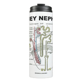 Termo Libro de texto sobre anatomía de Kidney Nephron Gr
