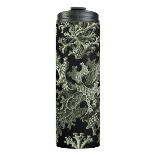 Termo Liquen por Ernst Haeckel, Plantas de la Naturaleza