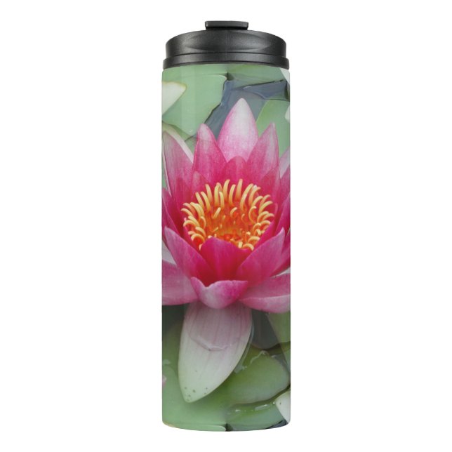 Termo Lirio de agua de Lotus rosa (Anverso)