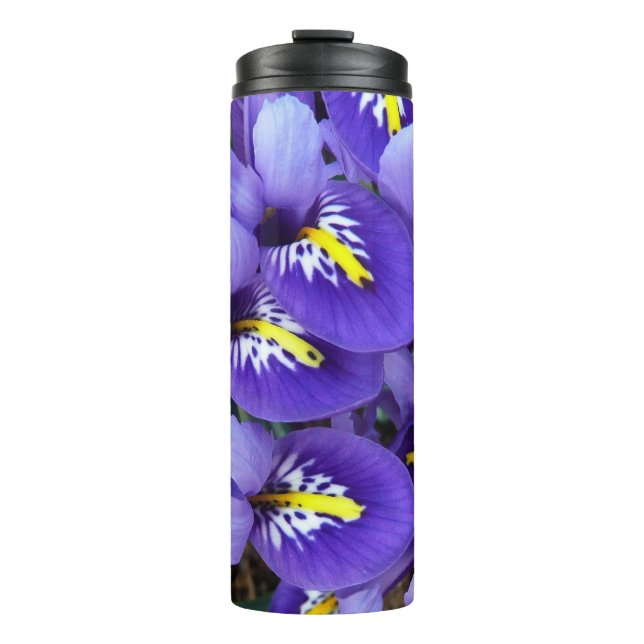 Termo Lirios Azules Miniatura Floral de Primavera (Anverso)