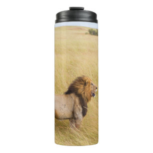 TERMO LONES MARRONES SOBRE EL CAMPO DE GRASA DURANTE EL 