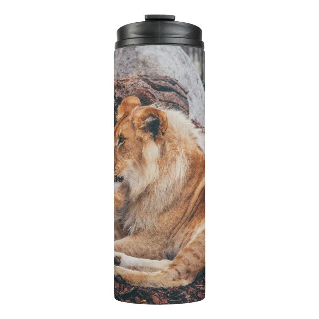 TERMO LONES Y LONES EN LA SUPERFICIE MARRONA (Anverso)