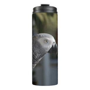 Termo Loro sereno del gris africano