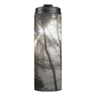 Termo Luz solar a través de árboles Bosque oscuro