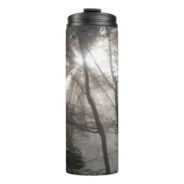Termo Luz solar a través de árboles Bosque oscuro (Anverso)
