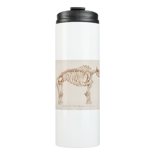 Termo Mamoth (Mammut) illustration (Anverso)