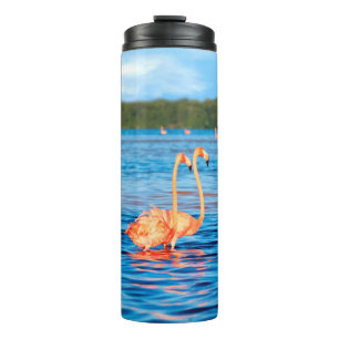 Termo Manadas de hermosos flamencos rosas en Celestun