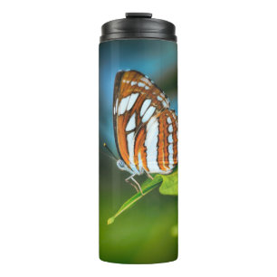 Termo Mariposa rayada blanca y naranja