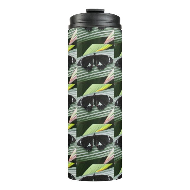 Termo Mariposa tropical negra y blanca (Anverso)
