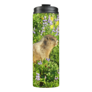 Termo Marmota en flores silvestres del Monte Rainier