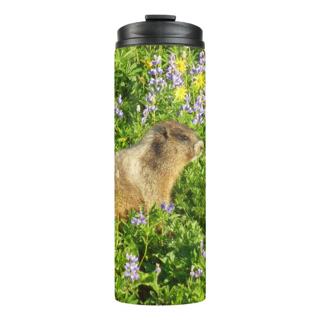 Termo Marmota en flores silvestres del Monte Rainier (Anverso)