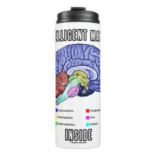 Termo Materia inteligente dentro del humor cerebral anat