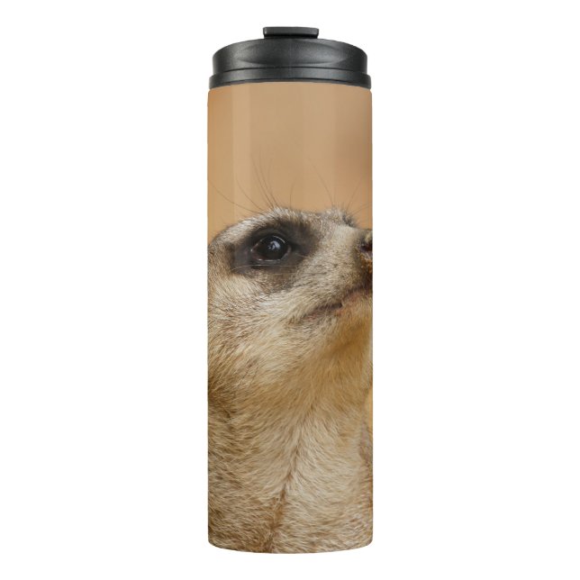 Termo Meerkat 001 de JAMFoto (Anverso)