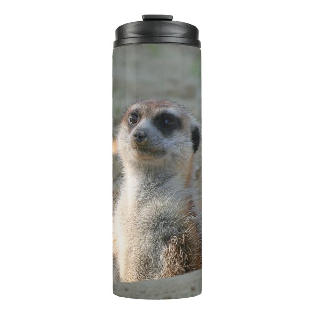 Termo Meerkat 004 (Anverso)