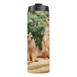 Termo Meerkat 009