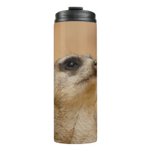 Termo Meerkat 011