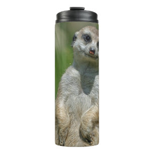 Termo Meerkat 013