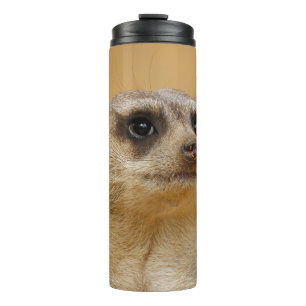 Termo Meerkat 020