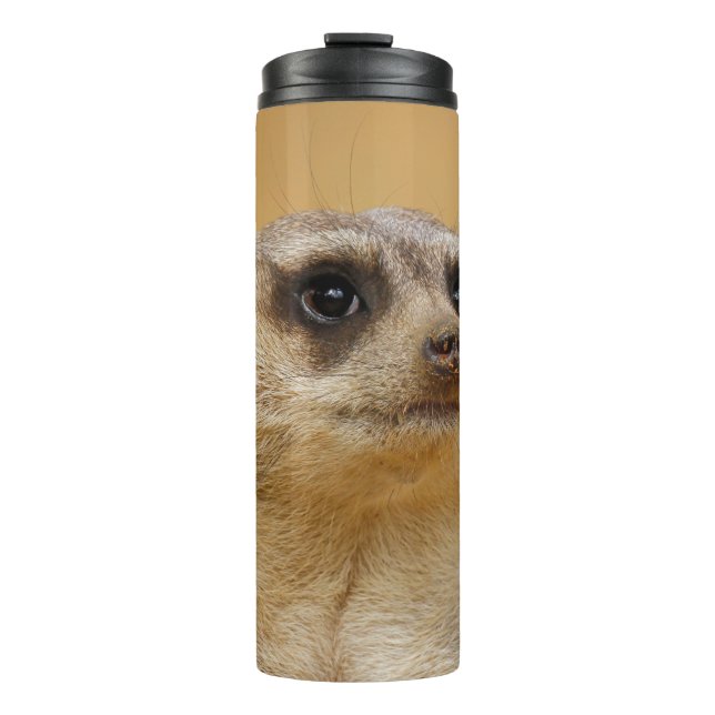 Termo Meerkat 020 (Anverso)