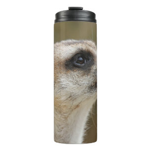 Termo Meerkat 028